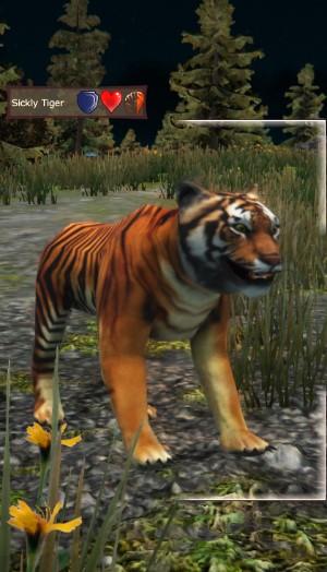 Sickly Tiger.jpg