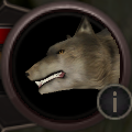 Headshot--Canine-Malnourished Wolf.PNG