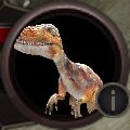 Headshot--Dinosaur-Deinonychus.PNG