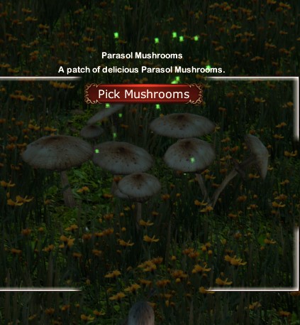 Parasol Mushrooms.jpg