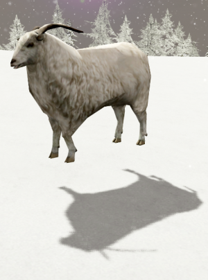 Mountain Sheep.png