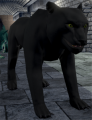 Giant Razorslash Panther.png