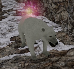 Lost Polar Bear.jpg