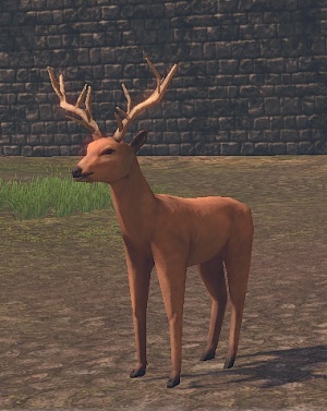 Deer form.jpg