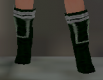 Windstep shoes front Q3.png