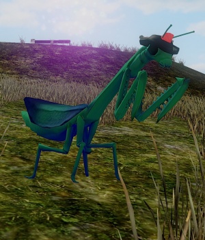 Augmented Mantis Slave.jpg