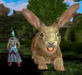 Easter Bunny 2.png