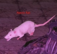 Necro Rat.jpg