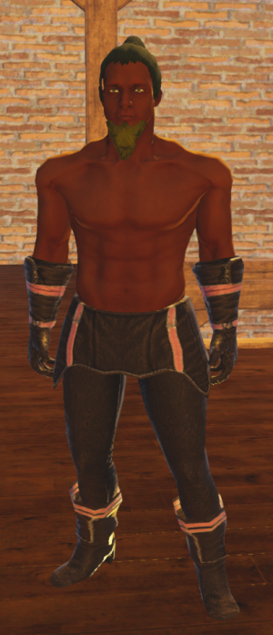 Sage Festoon (npc).png