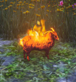 Cosmetic pet fire sheep.png