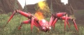 Fire Spider.jpg