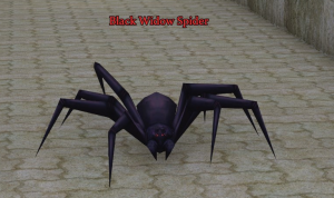 Black Widow Spider.png