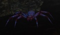 Reaper Spider.jpg