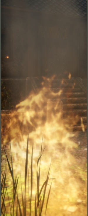 Sentient Flame (NPC).jpg