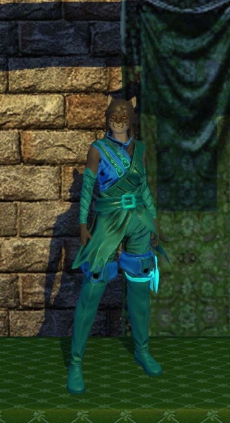 File:Evasion Armor (level 30).jpg
