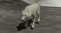 A player using Winter Werewolf Form.