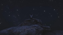 "The Dedicated Loremaster" Shadow Moses relaxing under the night sky!