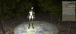 Character creation screen in 2014.