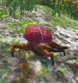 Brain Bug