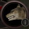 Malnourished Wolf