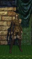 Leather Armor (level 40)