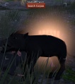 Thumbnail for version as of 05:13, 13 January 2022
