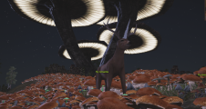 "The Dedicated Loremaster" Ahampt hanging out in the mushroom patch of Povus!