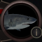 Great White Shark