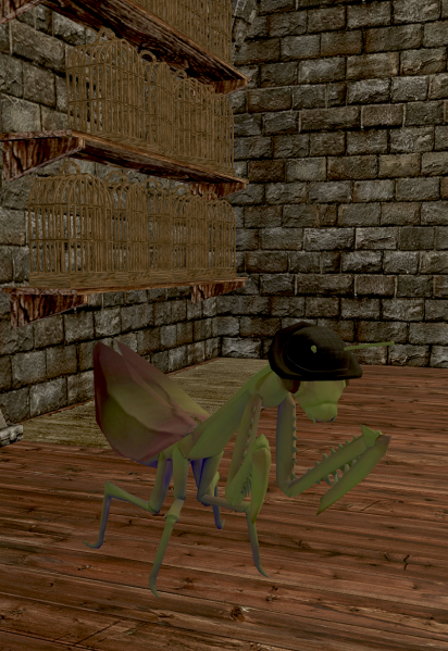 File:Irkima (npc).png