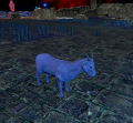 Thumbnail for version as of 23:16, 28 May 2021