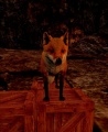 Thumbnail for version as of 22:23, 6 July 2021
