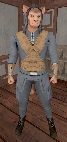 File:Shirogin NPC.png