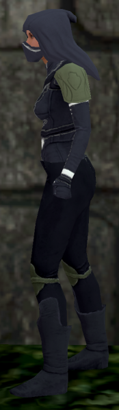 File:Amazing leather female left Q3.png