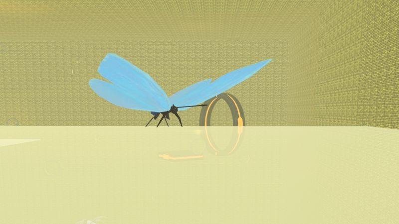 File:James the butterfly.jpg