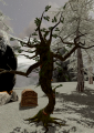 Thumbnail for version as of 23:47, 16 December 2020