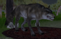 Thumbnail for version as of 21:53, 25 January 2022