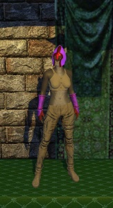 Leather Armor (level 10)