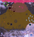 Vidaria