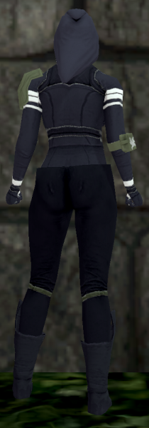 File:Amazing leather female back Q3.png
