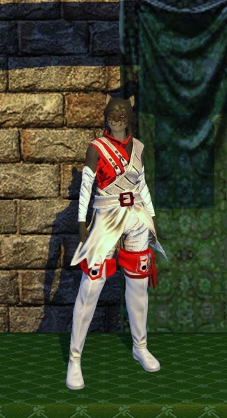File:Evasion Armor (level 50).jpg