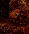 Thumbnail for version as of 22:18, 6 July 2021