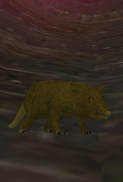 File:Sewer Rat.jpg
