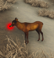 Mini-Reindeer