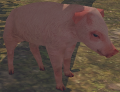 Thumbnail for version as of 03:31, 3 October 2014