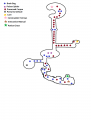 Thumbnail for version as of 00:25, 24 October 2016