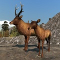 Thumbnail for version as of 20:03, 28 February 2025
