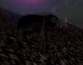 Thumbnail for version as of 00:04, 20 January 2015