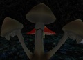 Thumbnail for version as of 07:58, 8 October 2014