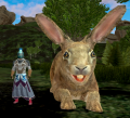 Thumbnail for version as of 03:55, 13 April 2020