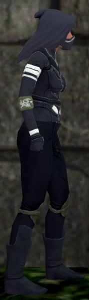 File:Amazing leather female right Q3.png